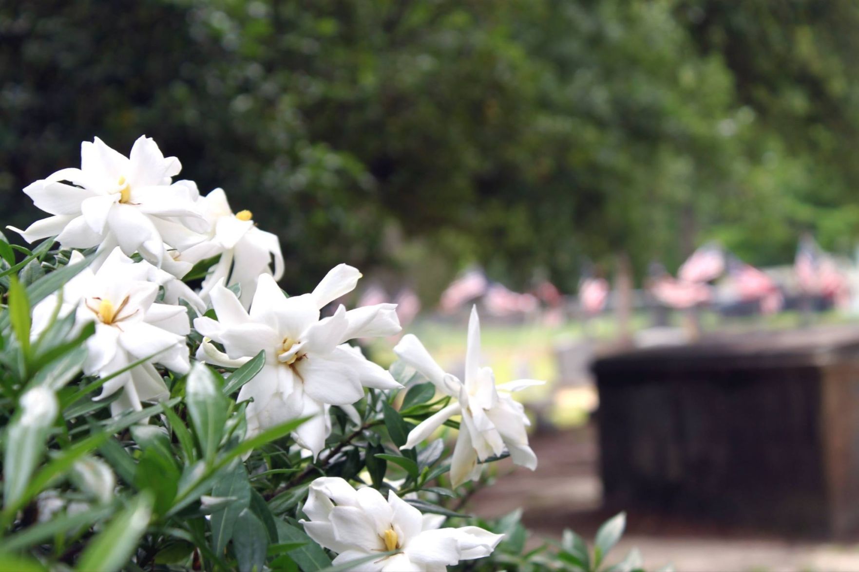 Memorial Day at Woodlawn Cemetery